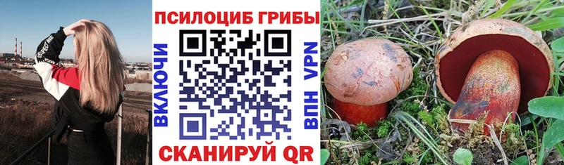 Псилоцибиновые грибы прущие грибы  где продают   Осинники 